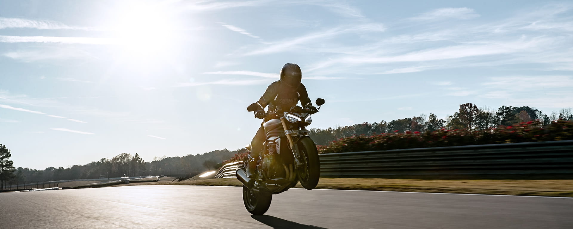 Triumph speed best sale triple off road
